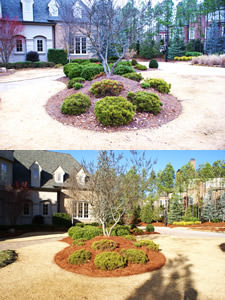Groundcover Solutions 02